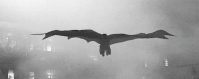 Les chauves-souris chassent la nuit et se servent alors de leur ouïe pour atteindre leurs proies. Mais elles ne sont en aucun cas aveugles! La vue de certaines espèces de chauves-souris est d'ailleurs bien meilleure que celle des humains.