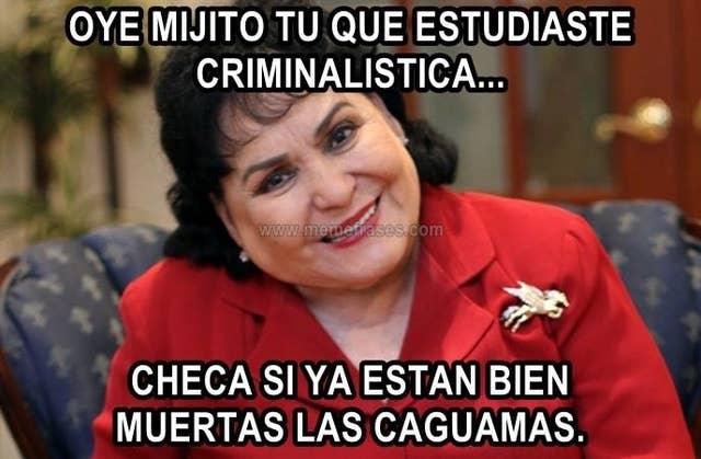 Estos Fueron Los 44 Memes Mas Relevantes De Mexico En 2016
