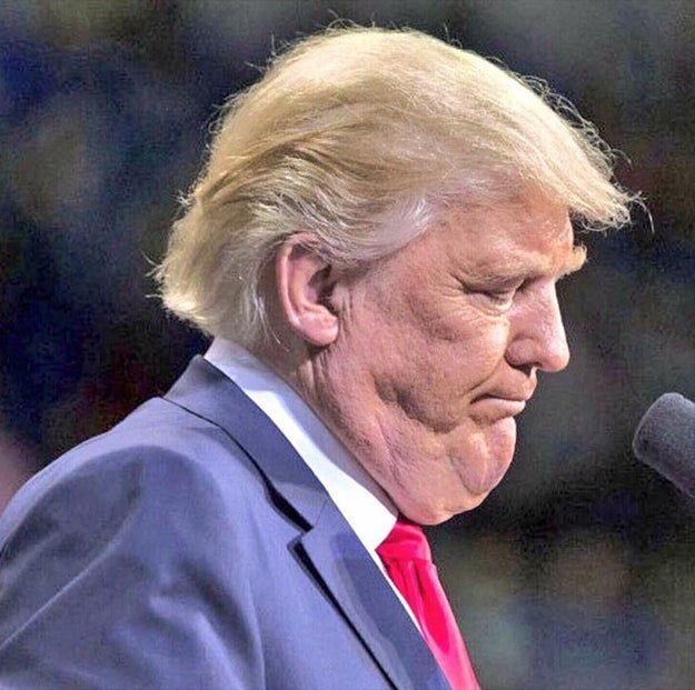 El usuario de Reddit LZMRaul subió esta foto del presidente electo de los Estados Unidos, invitando a la comunidad a una batalla de Photoshop.