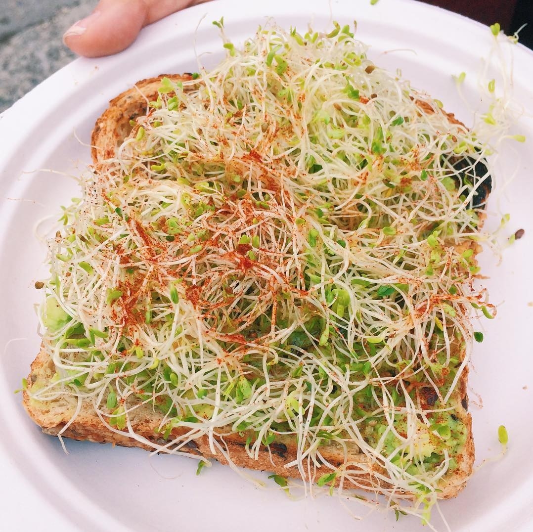This truffled avocado toast has just the right balance between sprouts, truffle and layers of avocado. The bed of sprouts is like a forest that you cut through to find the truffle-tinged avocado delicacy at the end. Foxy Greens also sprinkles cayenne over the toast to make it a little bit spicy. AND you can add poached eggs on top. What a dream.