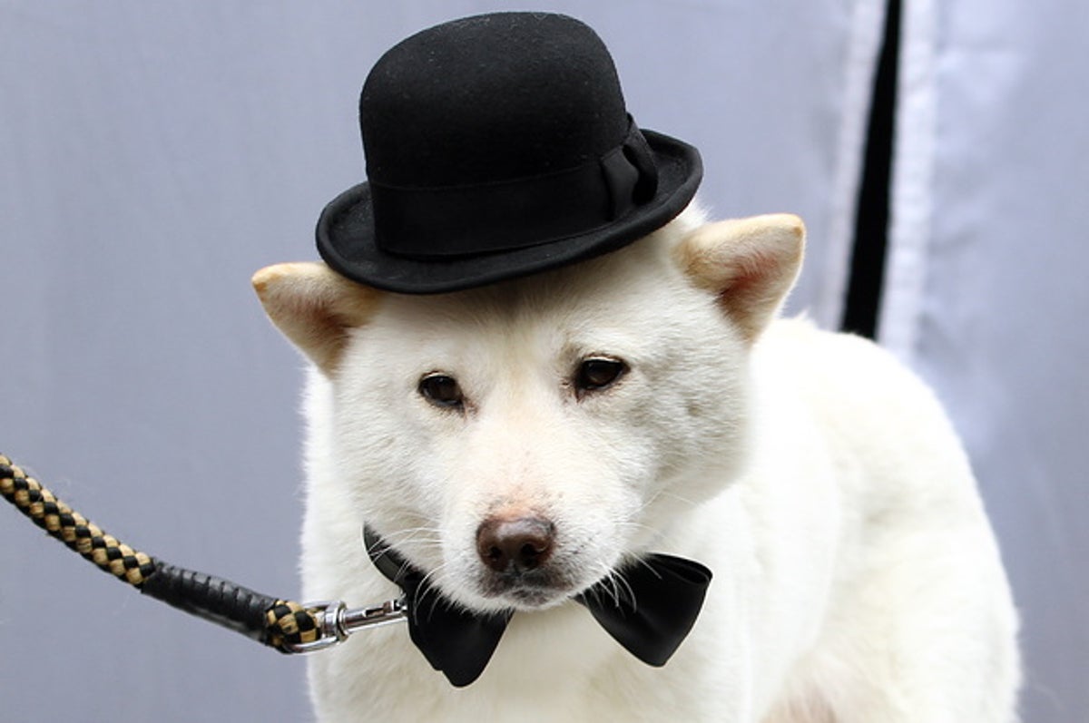 Smapの5人とファンに敬意を スマスマ最終回 ソフトバンクがスペシャルcmに込めた思い