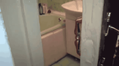 anigif_sub-buzz-7035-1482965755-2.gif