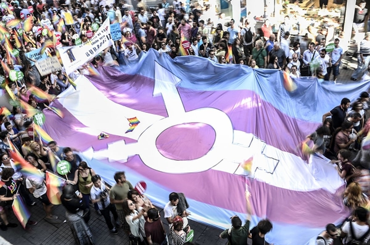 A Novel and the Fight for Transgender Rights in Argentina