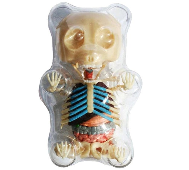 A Gummy Bear anatomy puzzle, or: a Gummy Bear-shaped torture chamber filled with the small animal that died trying to escape it.