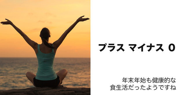 プラス マイナス ゼロ