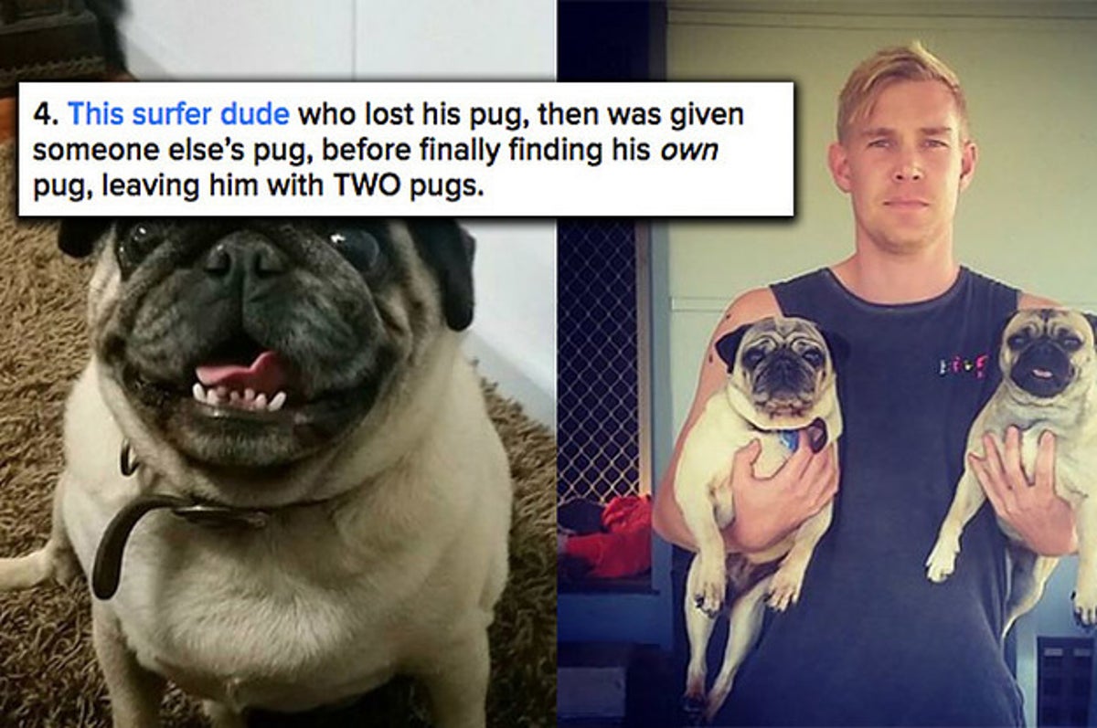 18 Touching Stories That Made All Aussies Cry Happy Tears In 2016