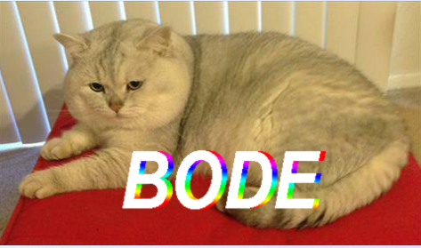 My Love Support You White Cat Meme Tumblr Love Meme On Me Me