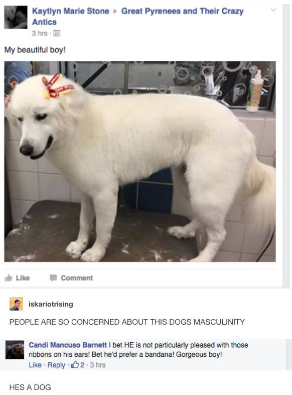 18 Times Tumblr Nailed Fragile Masculinity