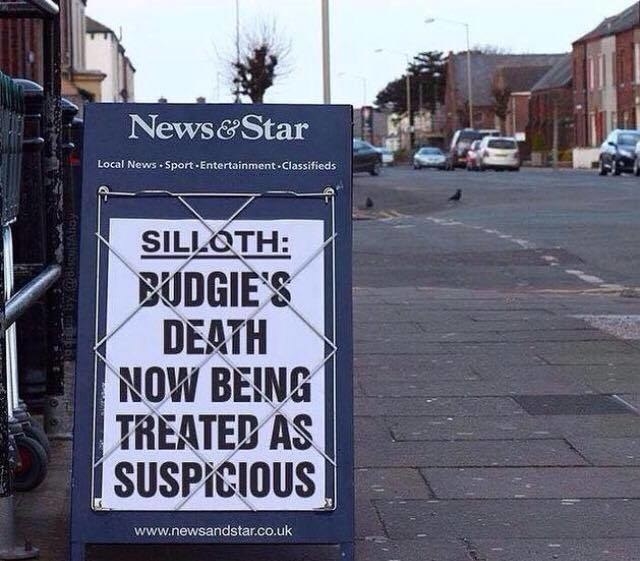 Bet it was those pigeons in the background. Shifty fucks.