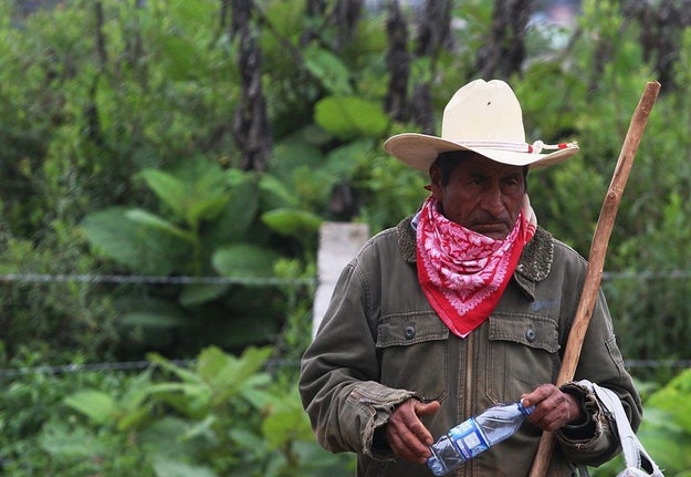 Y aún cuando en México, existen alrededor de 15.7 millones de personas que se consideran indígenas...