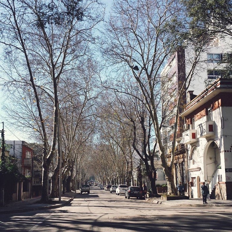 No Uruguai a passagem das estações é bem definida, quase como um roteiro de filme. No outono as árvores ficam amarelas e as folhas caem, na primavera florescem, no inverno faz frio e no verão é muito quente, os termômetros marcam facilmente 40 graus em todo país e o sol dá pinta até às 22h. Saímos do trabalho e ainda dá de fazer uma graça na rambla.