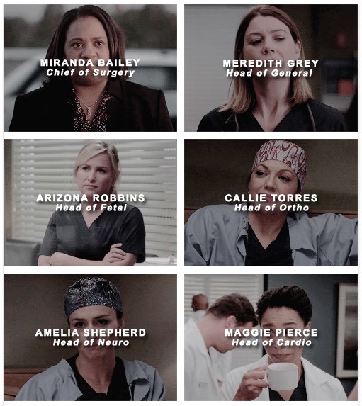 Bailey, Callie und Maggie sind Women of Color, Arizona ist lesbisch, Callie bisexuell. Meredith ist alleinerziehende Mutter, Amelia eine (cleane) Süchtige.