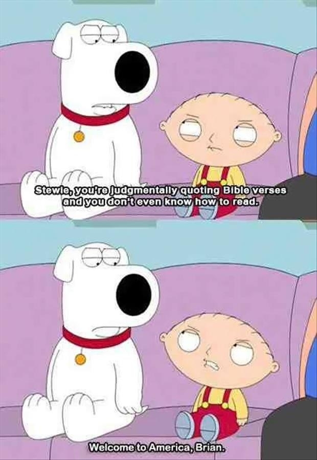 family guy funny quotes