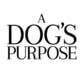 A Dog's Purpose Movie