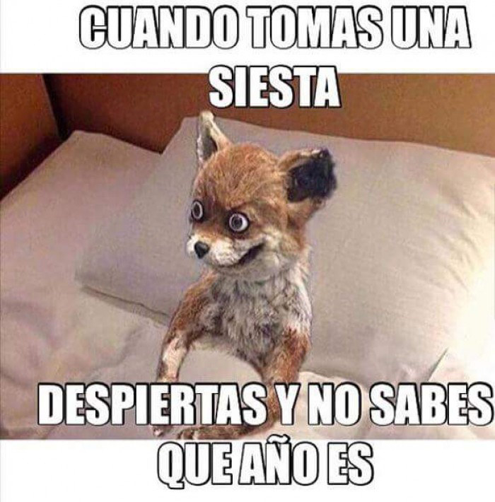 Como esa típica siesta "de 15 minutos" que termina siendo de dos horas.