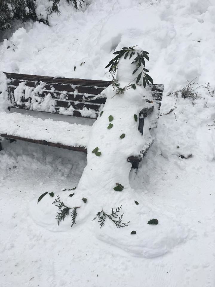 Mermaids were seen lounging all over the city as snow fell! βοΈ