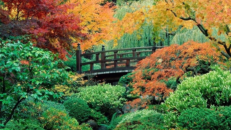 The Japanese Gardens located right next to the Rose Gardens and transport you right to Japan. The former Japanese Ambassador to the United States, Nobuo Matsunaga, even said that is is the most authentic Japanese garden outside of Japan.