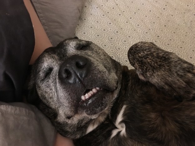 – Mandoggin.