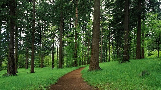 Stretching over 8 miles and covering 5,100 acres of land this is one of the countries largest urban forest reserves. With 70 miles of trails you could hike for days.