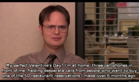 When Dwight described the best way to spend Valentine's Day: