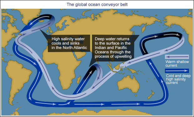 19 Impressive Facts About The Ocean That Will Make You Say 