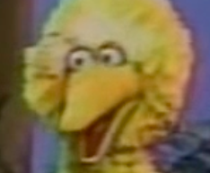 Big Bird Trying To Dance Salsa On 