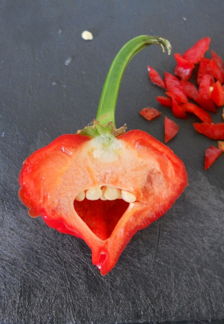 This pepper that's a liiiiittle too excited: