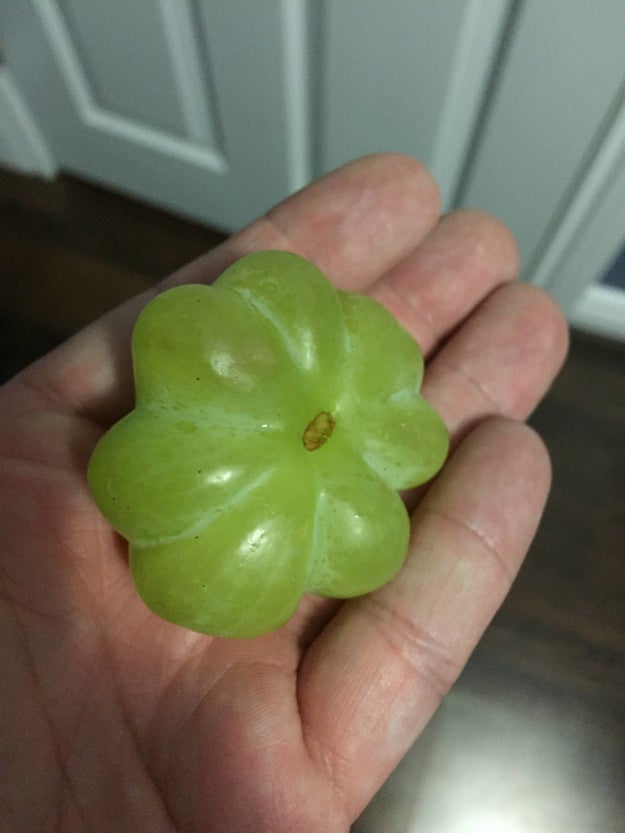 This grape that's actually seven grapes fused together: