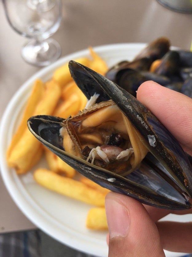 This crab trapped inside a mussel: