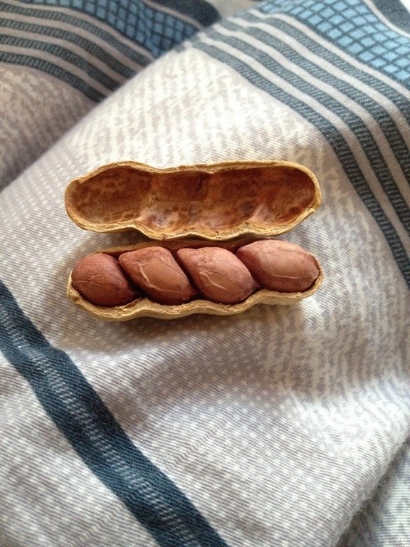 Four peanuts in one: