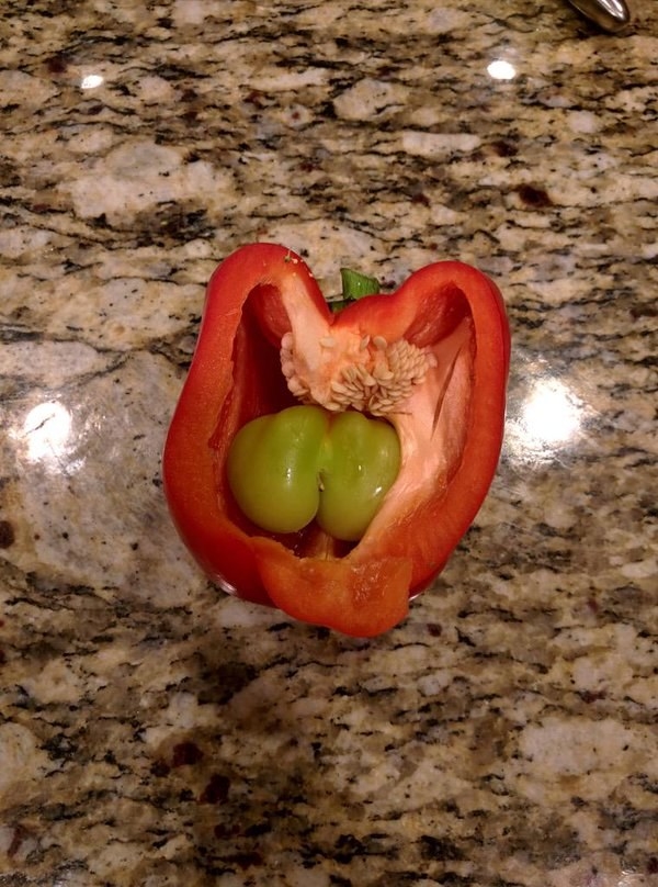 The pepper inside a pepper... Pepper-ception: