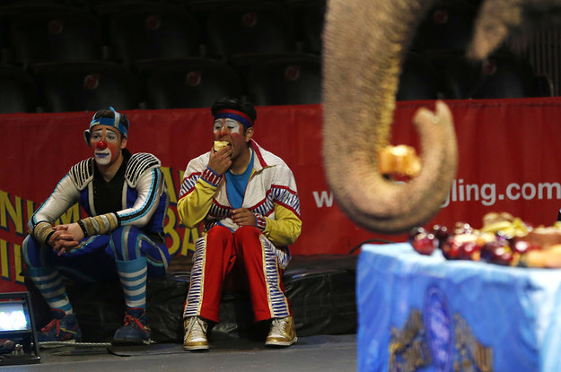 Ringling Brothers: Ringling Bros. Circus To Close After 146 Years