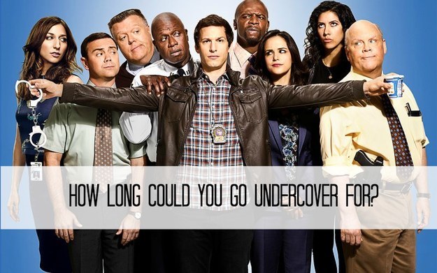 Which quot Brooklyn Nine Nine quot Detective Should You Fight Crime With?