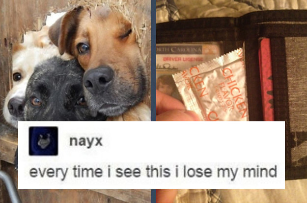 27 Tumblr Posts That Will Make You Laugh I Promise