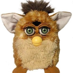 fluffy furby