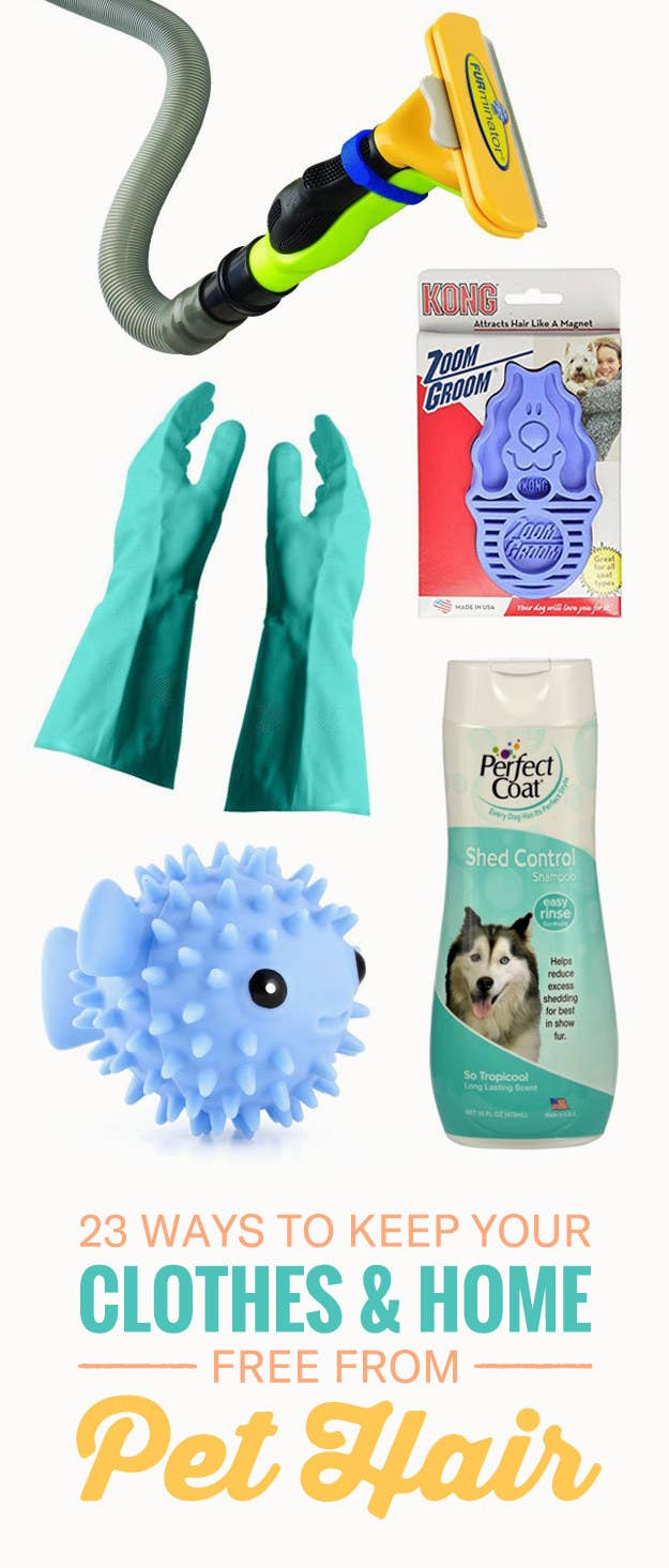 23 Tips And Products Thatll Save You From Being Covered In Pet Hair