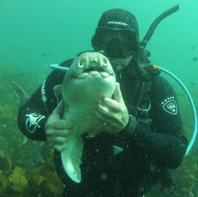 MASQUE REQUIN BEUCHAT - The Dive Warehouse