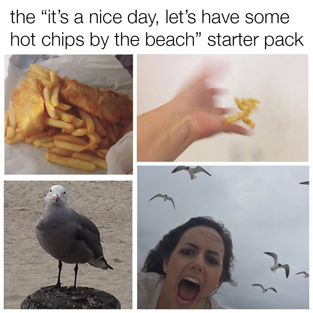9 Aussie Summer Starter Packs That Are Just Too Real