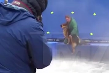 Vídeo que mostra cão sendo forçado a entrar na água no set de "Quatro Vidas de um Cachorro" será investigado
