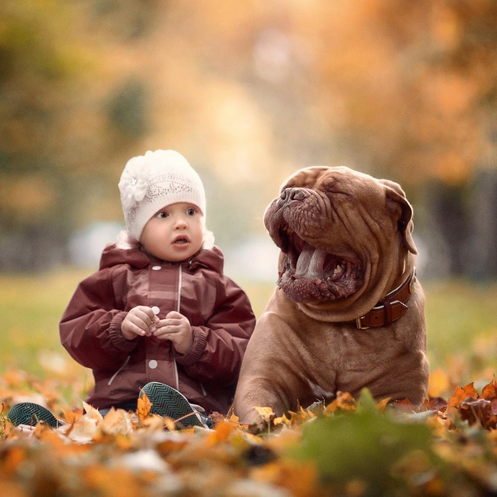 The                                                          photos depict                                                          the                                                          interactions                                                          between cute                                                          kids and                                                          these very                                                          gentle                                                          giants.