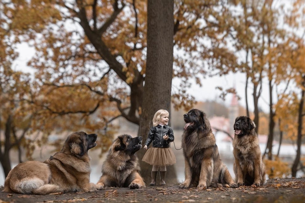 Seliverstoff said the goal of the series wasn t just to create                                                          beautiful                                                          pictures, but                                                          to capture                                                          the                                                          interaction                                                          between the                                                          children and                                                          the animals.