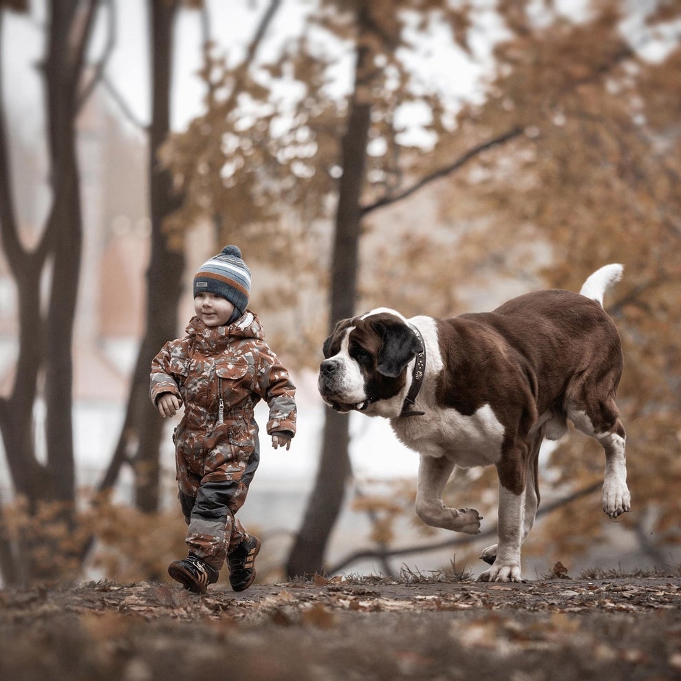 He also                                                          tries to                                                          ensure that                                                          the photos                                                          are taken                                                          where the                                                          dogs commonly                                                          walk and play                                                          with children                                                          in familiar                                                          surroundings                                                          so they are                                                          as natural as                                                          possible.