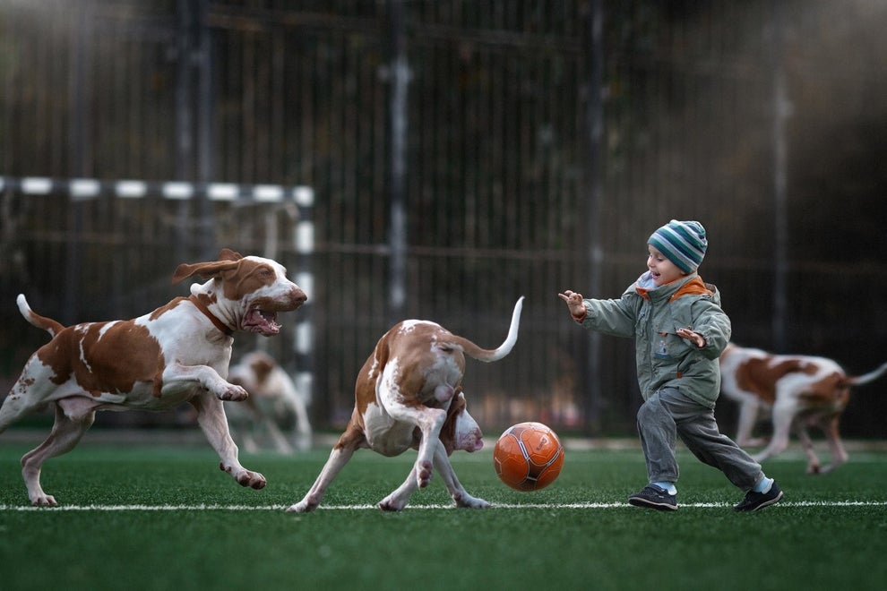 Seliverstoff did another shoot with a child featuring big dogs,                                                          and told                                                          BuzzFeed News                                                          that he was                                                          "deeply                                                          touched"                                                          by the work.                                                          That was four                                                          years ago and                                                          he's been a                                                          dog                                                          photographer                                                          ever since.