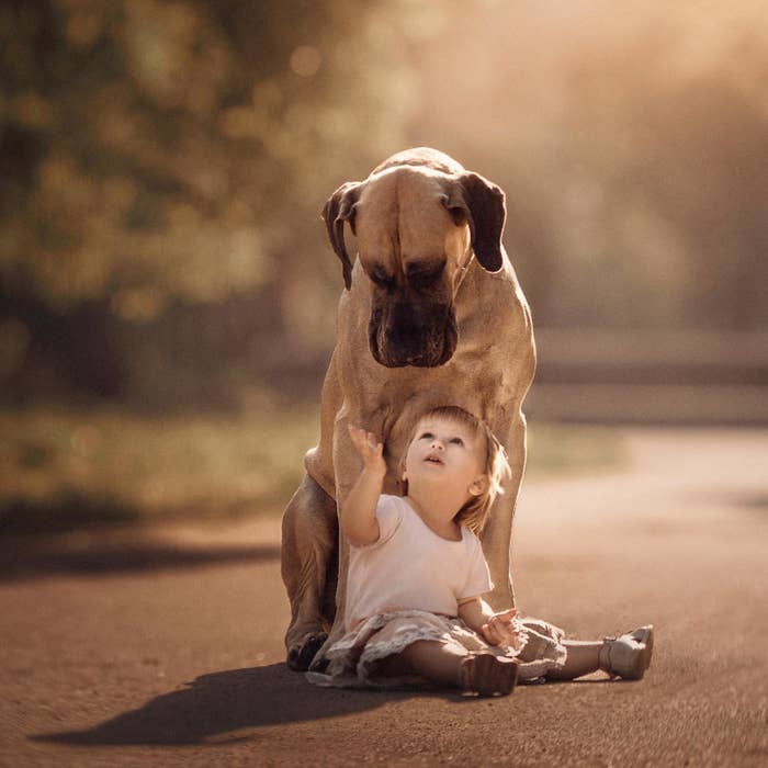 小さな子どもと大きな犬の絆 独創的な写真が収める つながり のカタチ