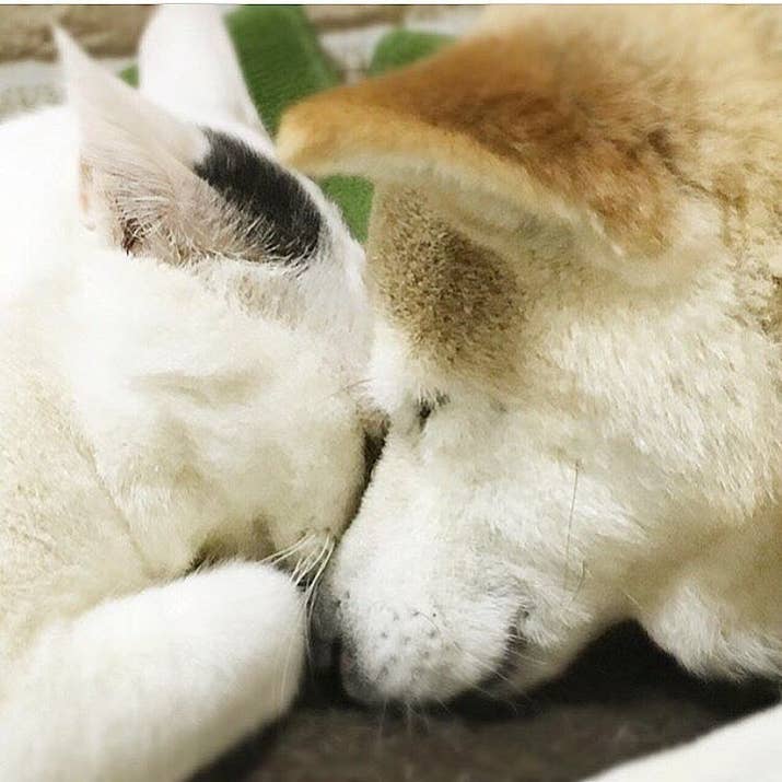 よかったね!