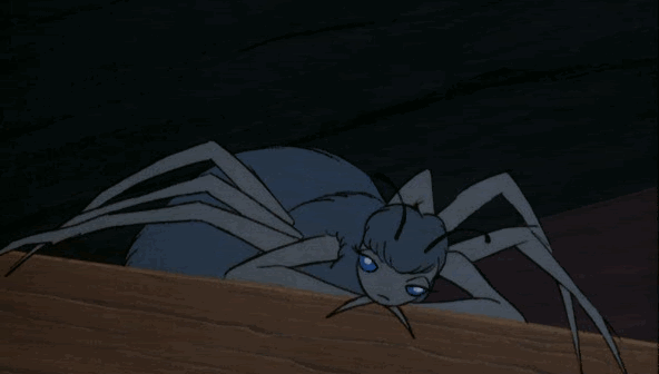 Probablemente la única araña que me ha entristecido que muera.