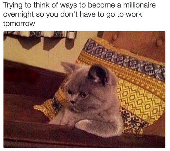 18 Times Cats Were Actually Relatable AF