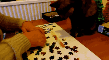 Https Encrypted Tbn0 Gstatic Com Images Q Tbn 3aand9gcq9wqeofh82imtfwkyzctldzcmbssxjaiotzeamb3odvlzy Dmg Usqp Cau