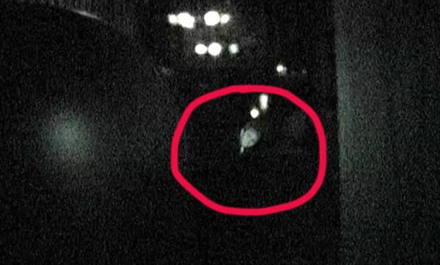 17 Disney Park Conspiracy Theories That Ll Scare The Hell Out Of You