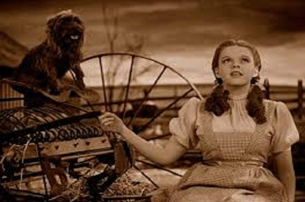 Judy Garland From The Wizard of Oz